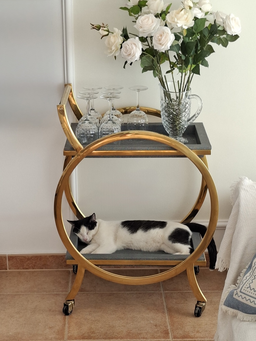 Interior en Fuerteventura — detalle con camarera